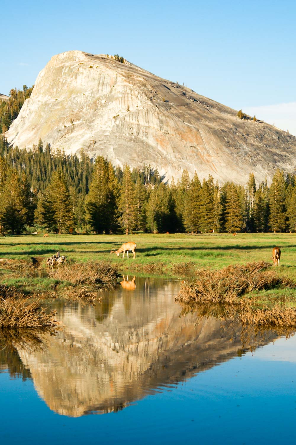 Tuolumne Meadows