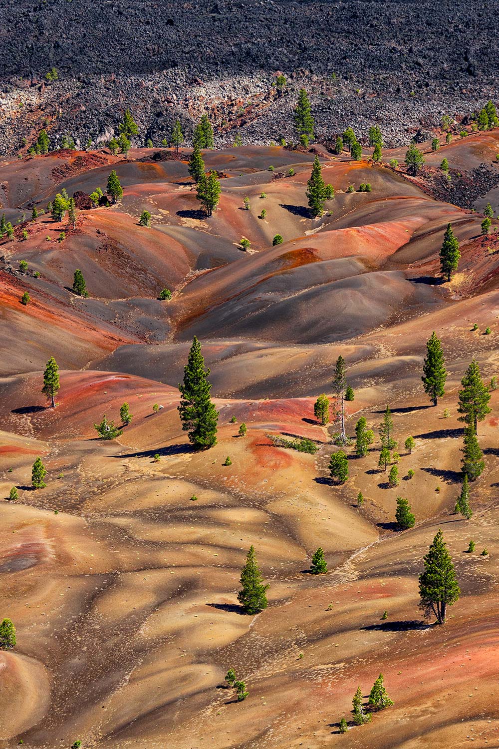 Lassen Volcanic National Park