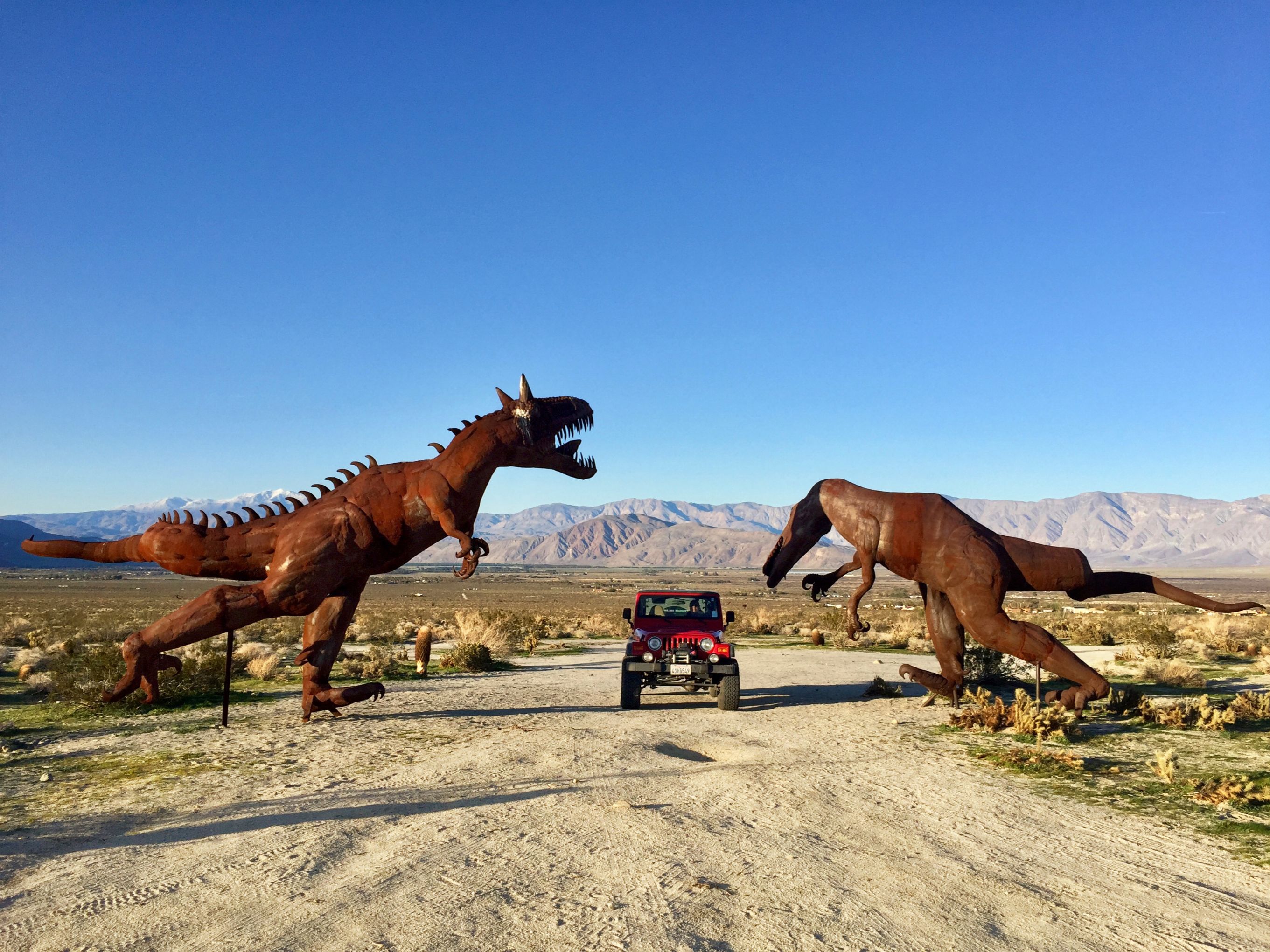 Amazing Desert Oddities