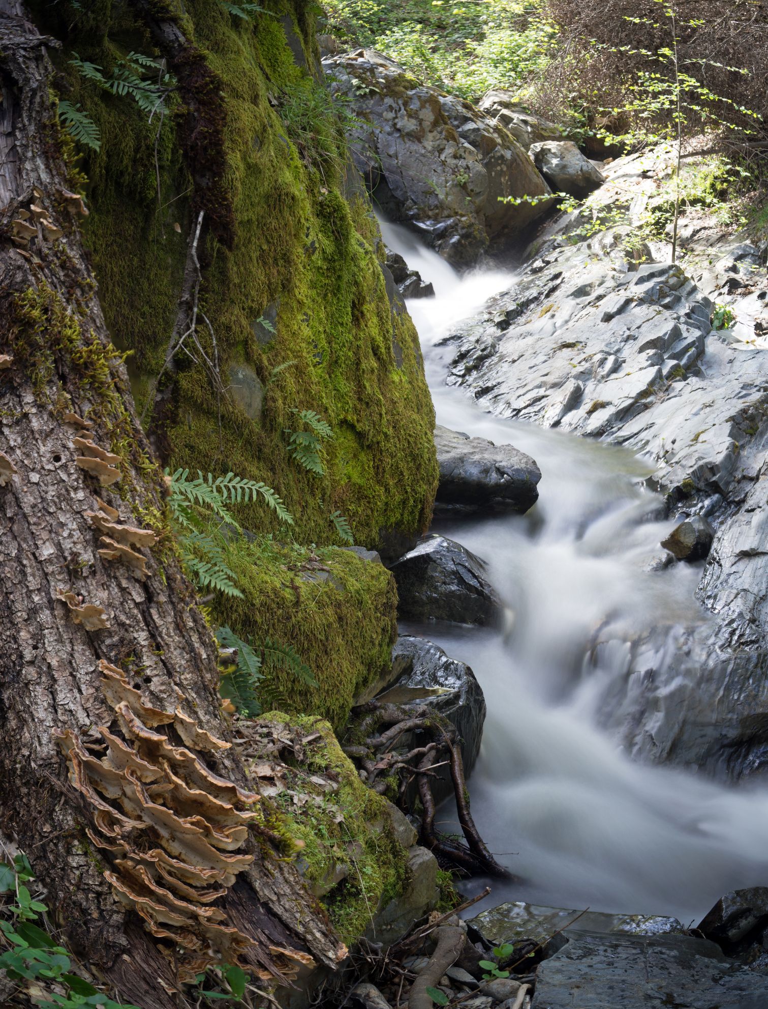 Deer Creek Falls