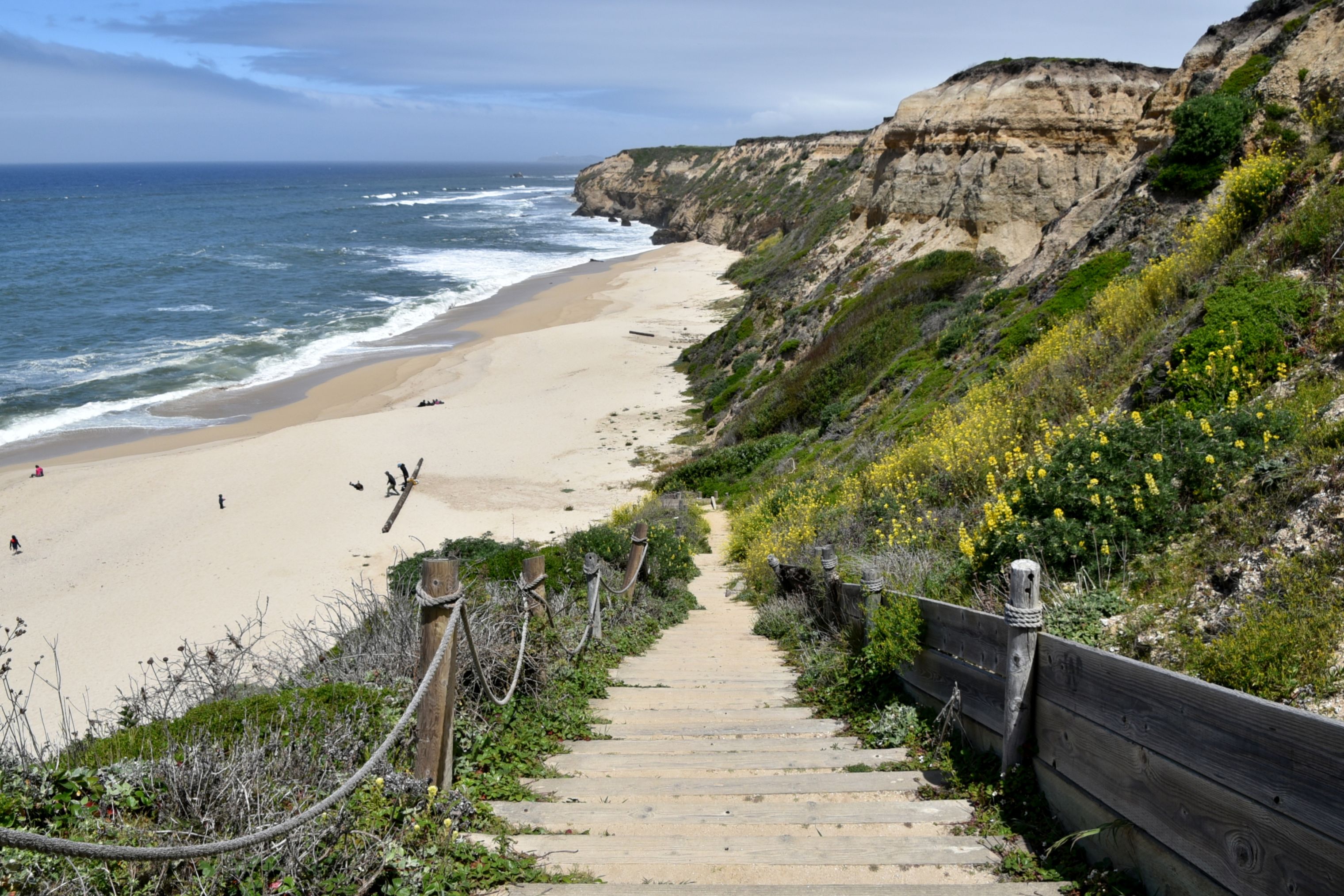 Cowell Ranch Beach