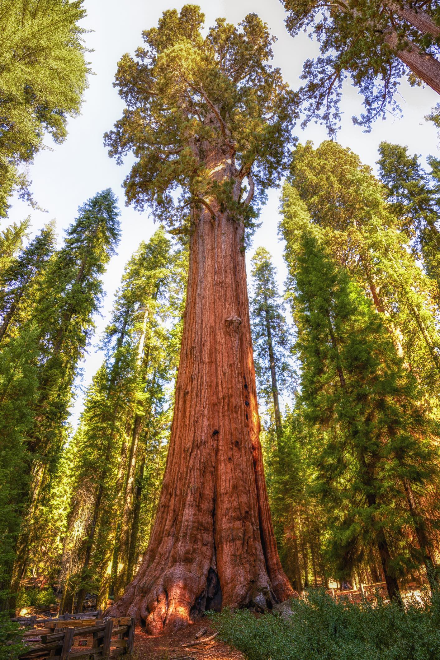 Sequoia National Park