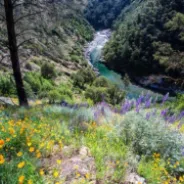 North Fork American River