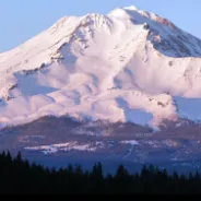 Mt. Shasta