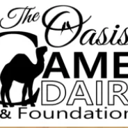 Oasis Camel Dairy