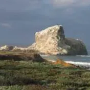 Piedras Blancas State Marine Reserve