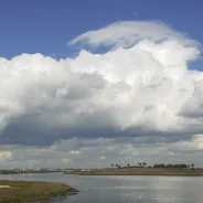 Bolsa Chica State Ecological Reserve