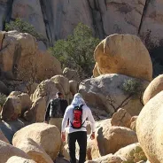 Joshua Tree National Park Activities