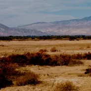 Borrego Springs Chamber of Commerce stargazing info