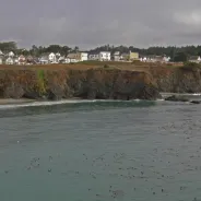 Mendocino Headlands State Park