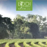 Visit Lodi