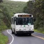 Muir Woods shuttle