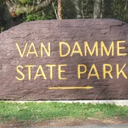 Van Damme State Park