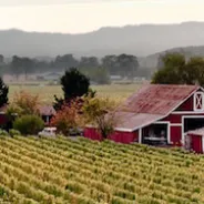 Healdsburg Chamber & Visitors Bureau 