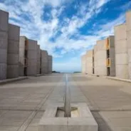 The Salk Institute