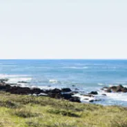 Harmony Headlands State Park