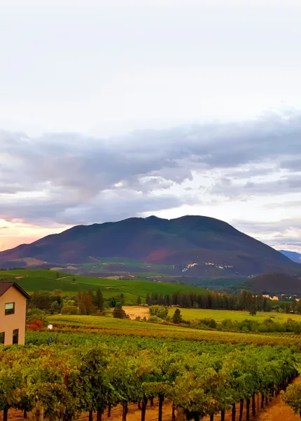 De la vallée à l'océan
