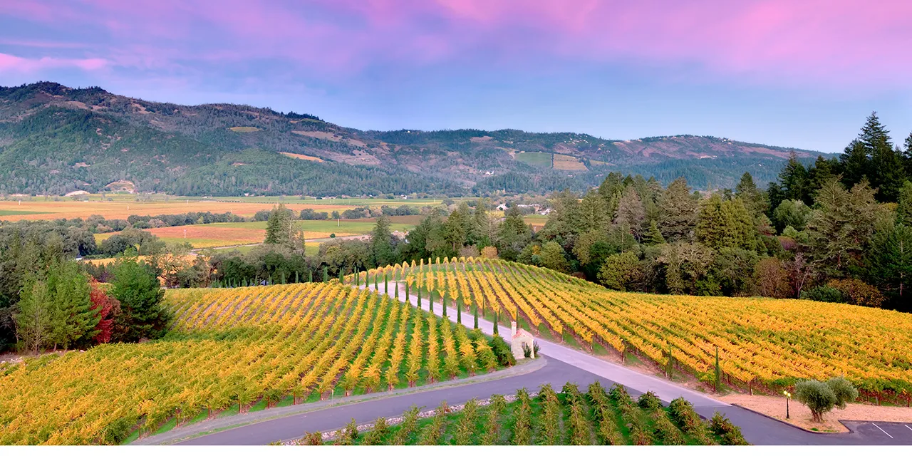 Napa Valley Wines Wineries