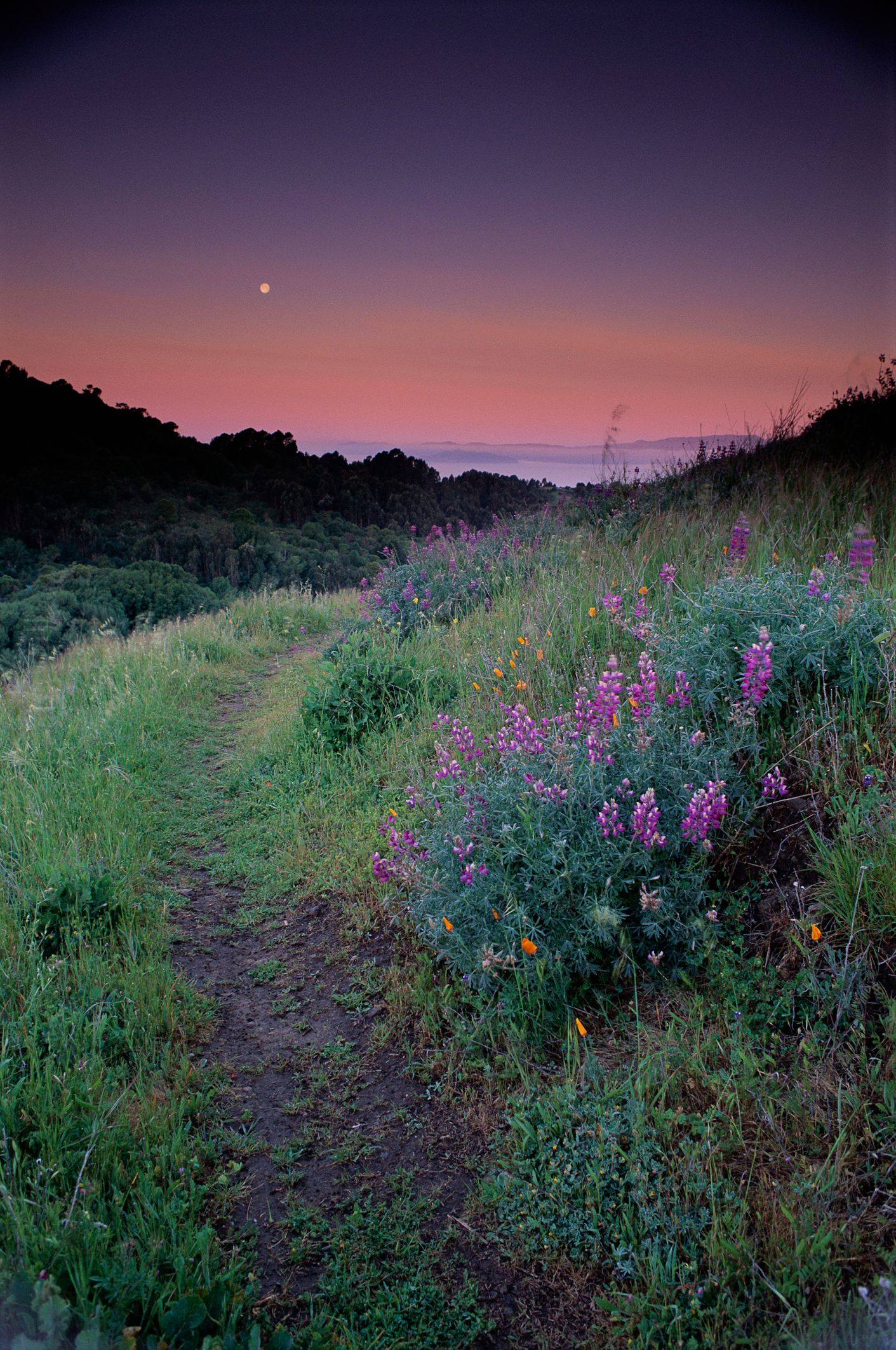 University of California, Berkeley